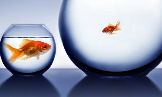Endowment-Bigger-Isn't-Better-The-Gay-Guide-Network
