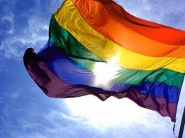 The-Gay-Guide-Network-Pride-Portal