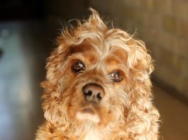 EllaTheGayGuideNetwork