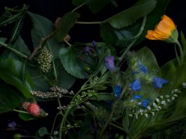 The-Gay-Guide-Network-Flower-Powe